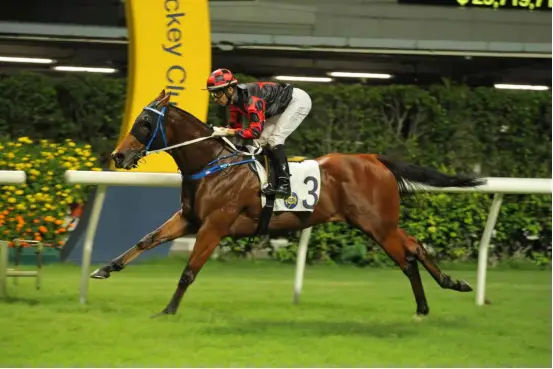 女裁判长马,术训练,马匹调教技,香港赛马会主页,赛程安排,赛果查询,马匹资料,比赛分析