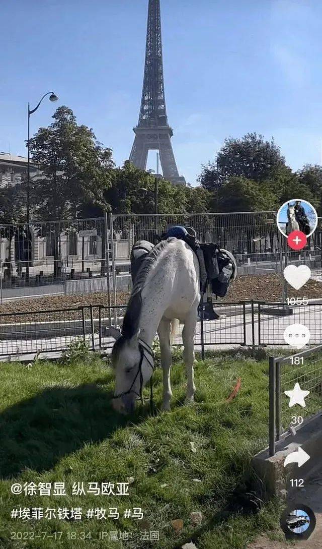 浪漫勇士,以绝佳表现,在沙特杯跑,香港赛马会主页,赛程安排,赛果查询,马匹资料,比赛分析