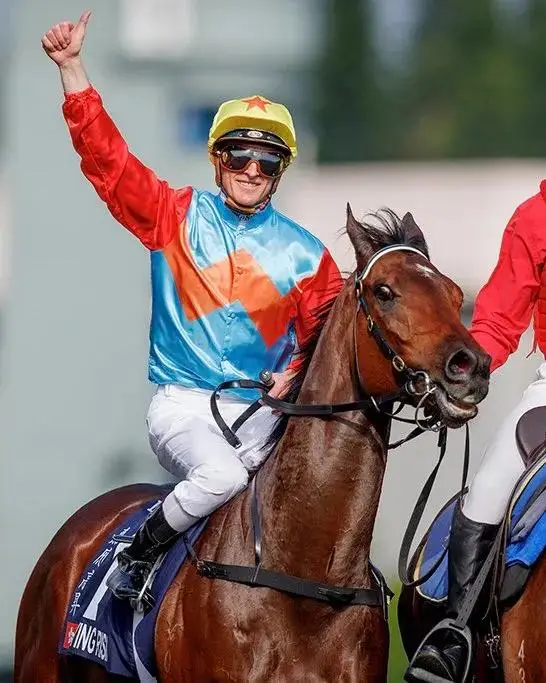 非马马路骑,手请谨慎通,香港赛马会主页,香港赛马会主页,赛程安排,赛果查询,马匹资料,比赛分析