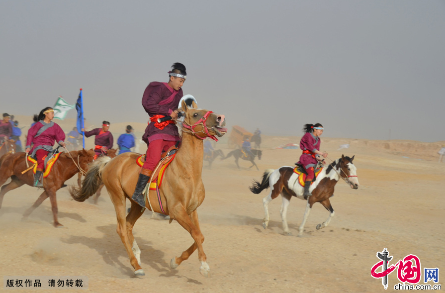 大乐透期号,专家质合分,析推荐,香港赛马会主页,赛程安排,赛果查询,马匹资料,比赛分析