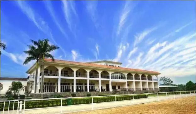 大乐透第,期专家质合,分析推荐前,香港赛马会主页,赛程安排,赛果查询,马匹资料,比赛分析