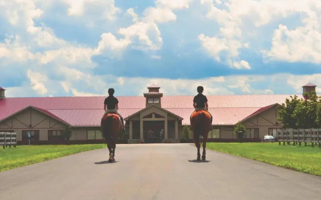 黑龙江水库,发现,匹冰冻马悲,香港赛马会主页,赛程安排,赛果查询,马匹资料,比赛分析