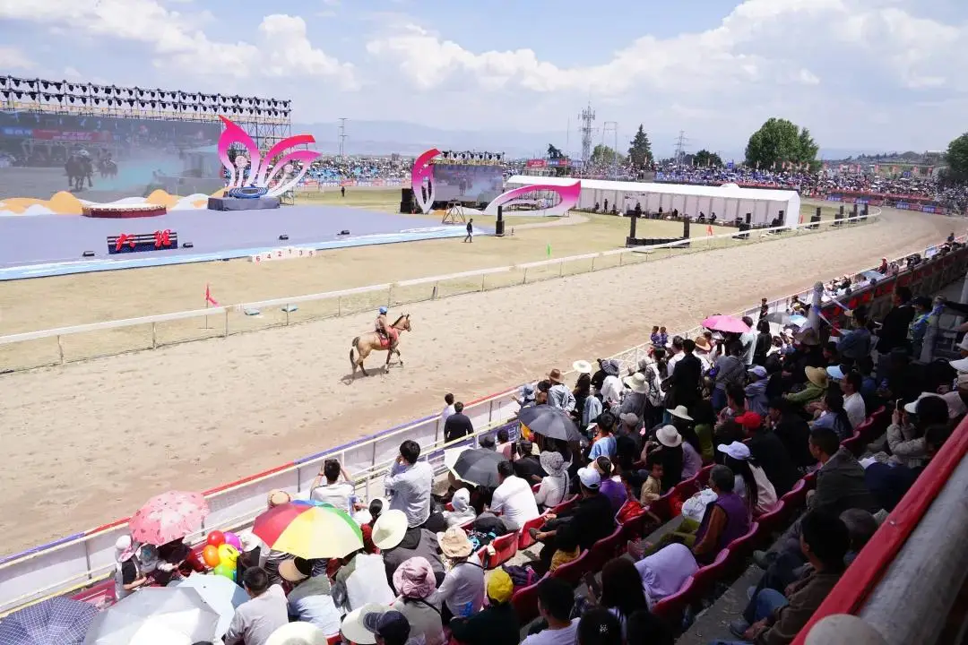 大乐透期号,专家推荐,玉龙春季拍,香港赛马会主页,赛程安排,赛果查询,马匹资料,比赛分析