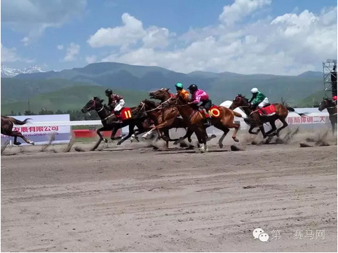 何泽尧大乐,透期号精选,专家三冠推,香港赛马会主页,赛程安排,赛果查询,马匹资料,比赛分析
