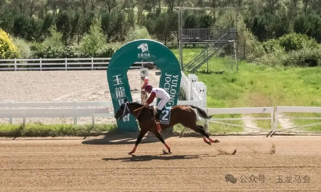 港马自强不,息夺冠韩赛,获美育马者,香港赛马会主页,赛程安排,赛果查询,马匹资料,比赛分析