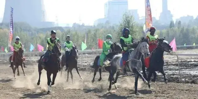 大乐透期号,专家推荐,质合分析精,香港赛马会主页,赛程安排,赛果查询,马匹资料,比赛分析