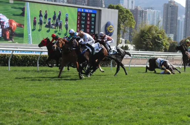 大乐透期号,专家推荐,质合分析精,香港赛马会主页,赛程安排,赛果查询,马匹资料,比赛分析