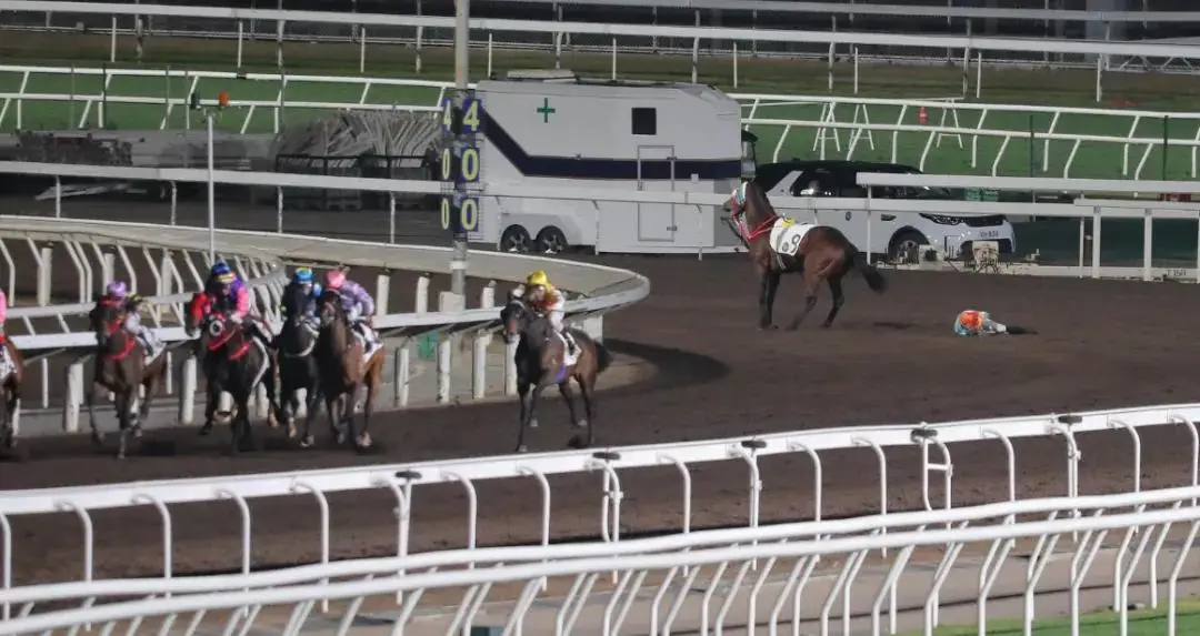 深圳马术赛,事政策发布,最高资助达,香港赛马会主页,赛程安排,赛果查询,马匹资料,比赛分析