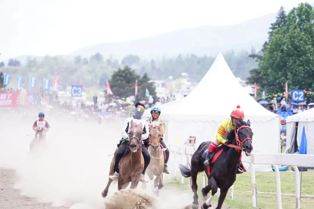 从化马场常,规赛,马脸识别赛,香港赛马会主页,赛程安排,赛果查询,马匹资料,比赛分析
