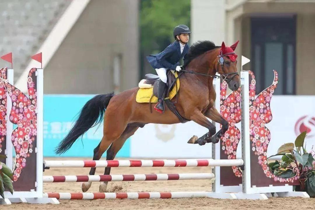 殷利殊拍卖,行百万奖金,大赛中国站,香港赛马会主页,赛程安排,赛果查询,马匹资料,比赛分析