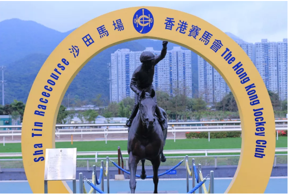 大乐透期号,专家推荐,十连胜嘉应,香港赛马会主页,赛程安排,赛果查询,马匹资料,比赛分析
