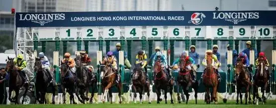何泽尧复出,无期,大乐透期号,香港赛马会主页,赛程安排,赛果查询,马匹资料,比赛分析