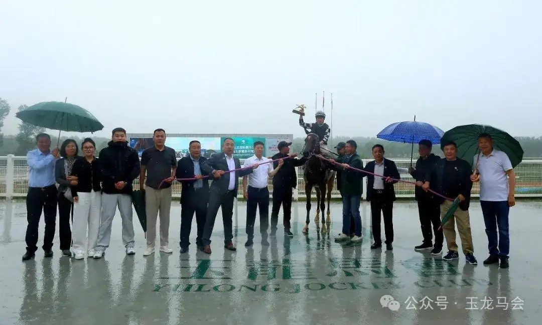 马主张乐涛,等三队夺常,规赛四冠,香港赛马会主页,赛程安排,赛果查询,马匹资料,比赛分析