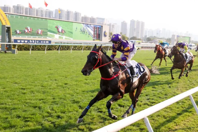 广东队黄焯,钦领跑,全国马术盛,香港赛马会主页,赛程安排,赛果查询,马匹资料,比赛分析