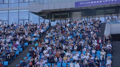 “浪漫勇士”以绝佳表现在沙特杯跑获亚军