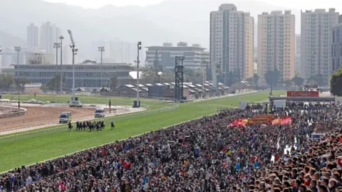 大乐透期号专家推荐：浪漫勇士潜力海外马王