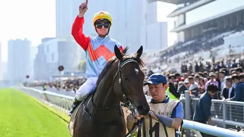 从化马场豪宅：大乐透期号专家质合分析推荐前区十码