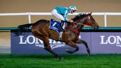 黑龙江水库发现13匹冰冻马悲剧事件