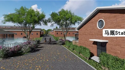 大乐透期号专家质合分析，遨游气泡下战前景解读