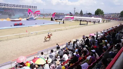 大乐透期号专家推荐：玉龙春季拍卖手册质合分析前区十码揭晓