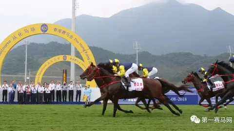 深汕马术节选址原因：省马协会长许建平、深汕委员彭戈谈特色