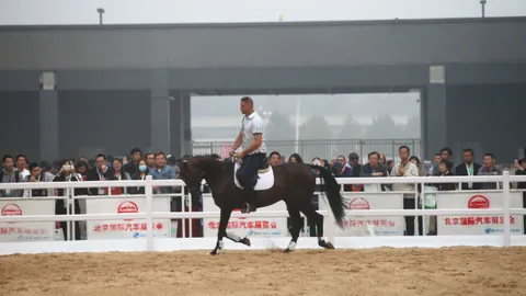 水族庆赛马活动莎莎CEO马事结缘，最美赛事前瞻