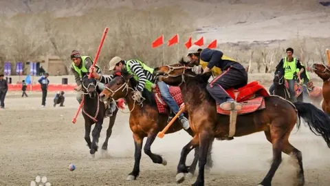 爱尔兰教练团队邀小骑手免费体验课程