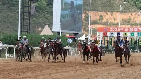 大乐透期号专家推荐：大至尊本周末再战遮打杯质合分析