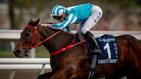 大乐透期号专家推荐：玉龙骐妙宝质合分析夺一级赛，瞄准昆士兰挑