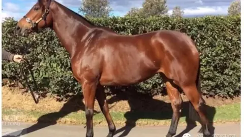 首场国家二级赛全面升级，明日呼市开跑解读