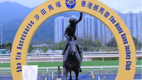 大乐透期号专家推荐：十连胜嘉应高升战巅峰赛