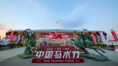 陈家梁210万购花旗子嗣，再育马王